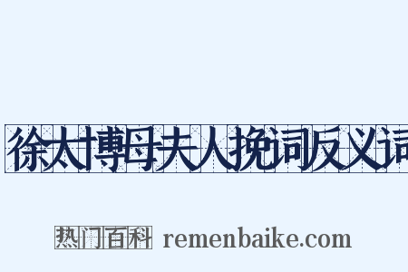 徐太博母夫人挽词反义词是什么意思的图片